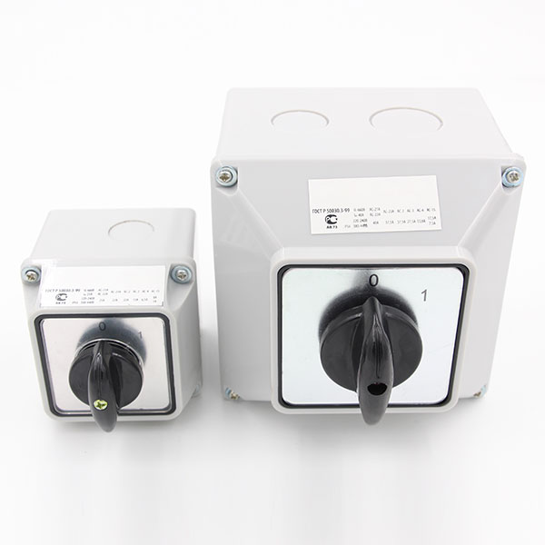 LW26 Series Cam Switch with Waterproof Box